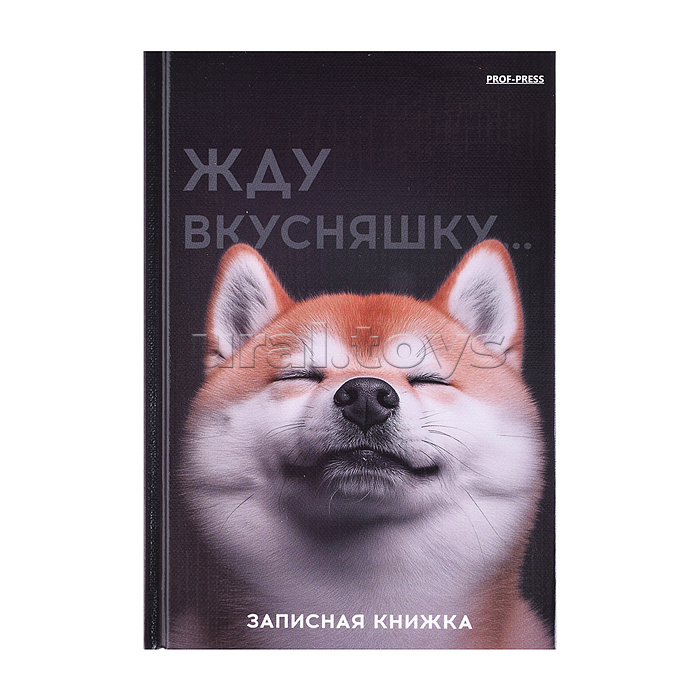 Записная книжк А6 48л. "Милый забавный пёс" 7БЦ, глянц.ламинир., лен