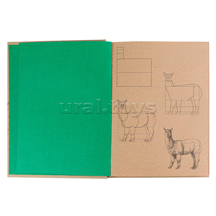 Скетчбук 80л. с пошаговыми эскизами "Дикий мир" 7БЦ, КБС с резинкой