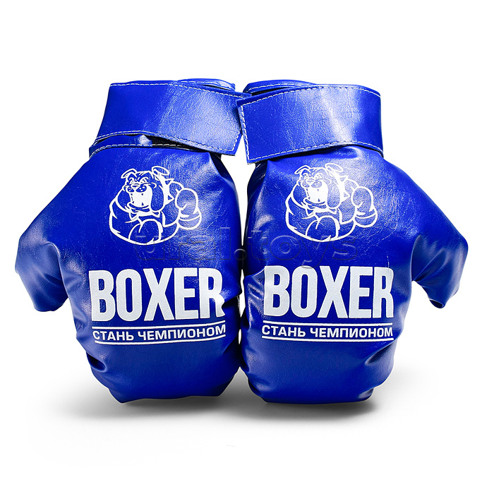 Боксерский набор синий