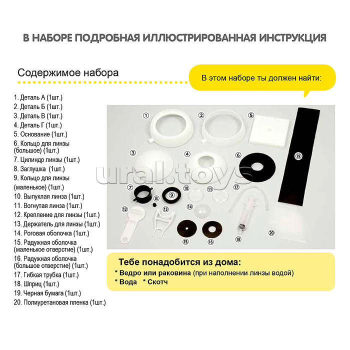 Японские опыты. Науки с Буки. Модель глаза