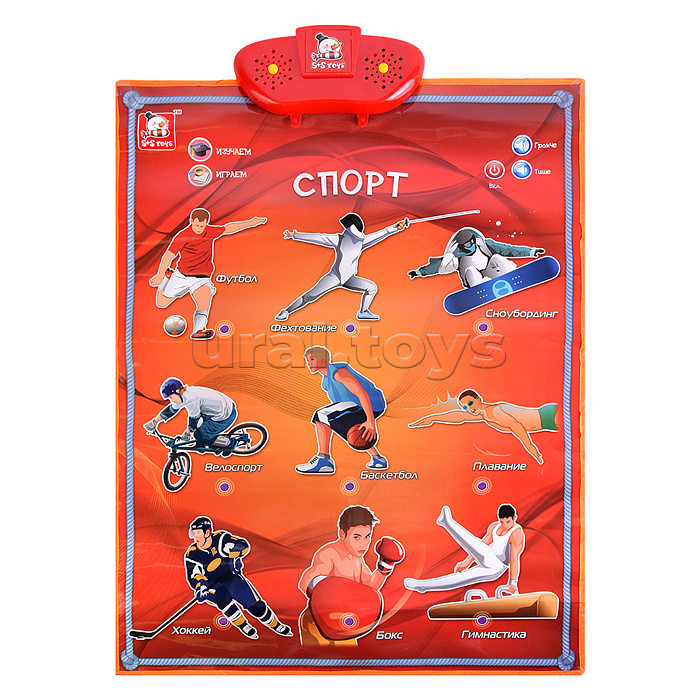 Эл. звуковой плакат, в ассортименте,  коробке