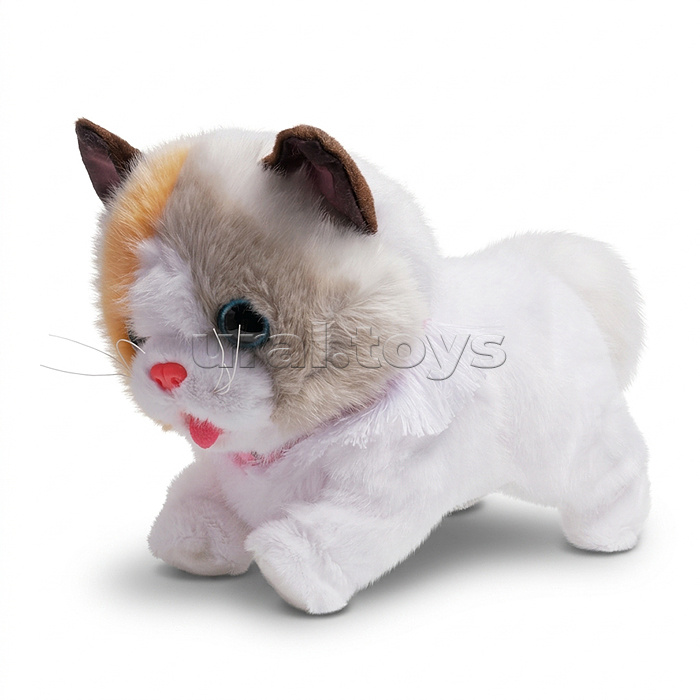 Мягкая игрушка "Кошка "Бусинка" интерактивная, в коробке