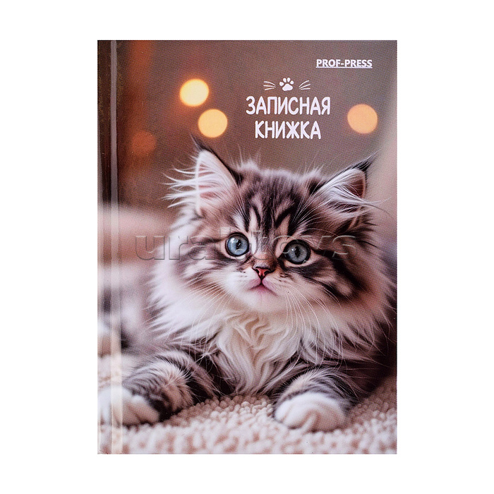 Записная книжка А7 64л. "Милые котята - 6" перепл. 7БЦ, глянц. ламинация