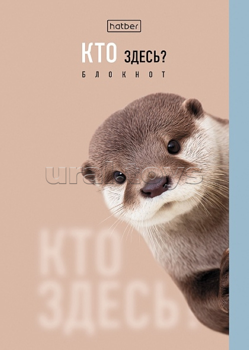 Блокнот 32л А6ф клетка "Кто здесь?" на скобе, обложка мел. бумага глянц. ламинация