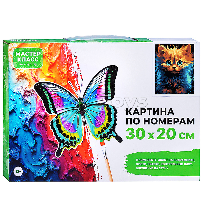 Картина по номерам "Лохматый котенок" 30*20 см.