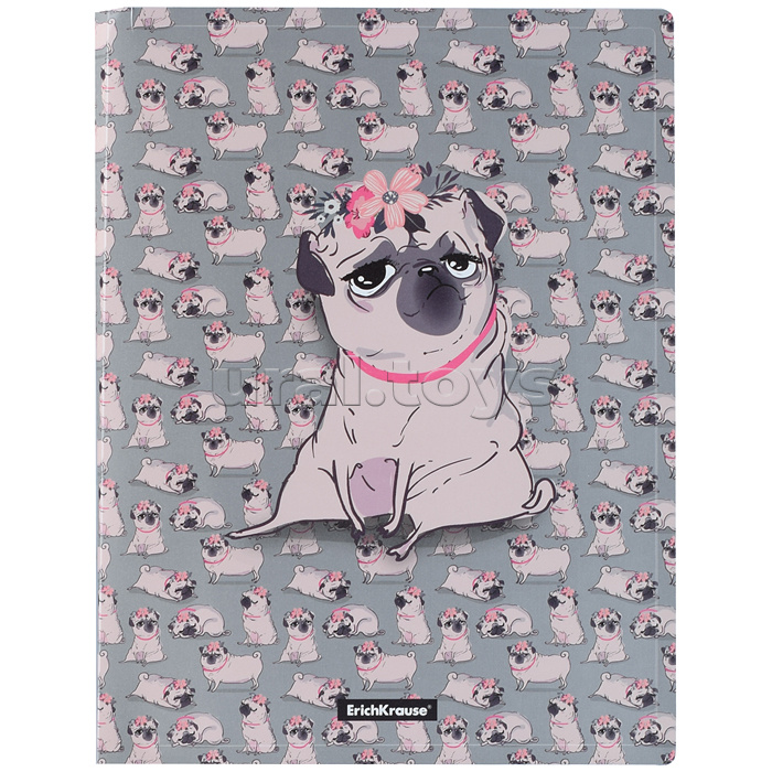 Папка файловая пластиковая Chilling Dog, с 30 карманами, А4 Папка файловая пластиковая Chilling Dog, с 30 карманами, А4