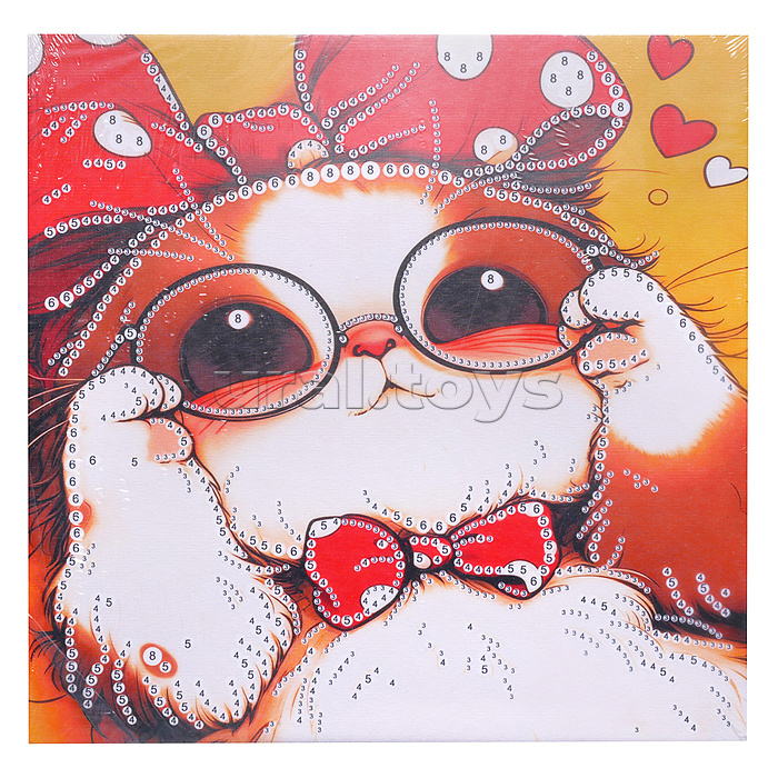 Мозаика алмазная "Котик в очках" 30*30 см.