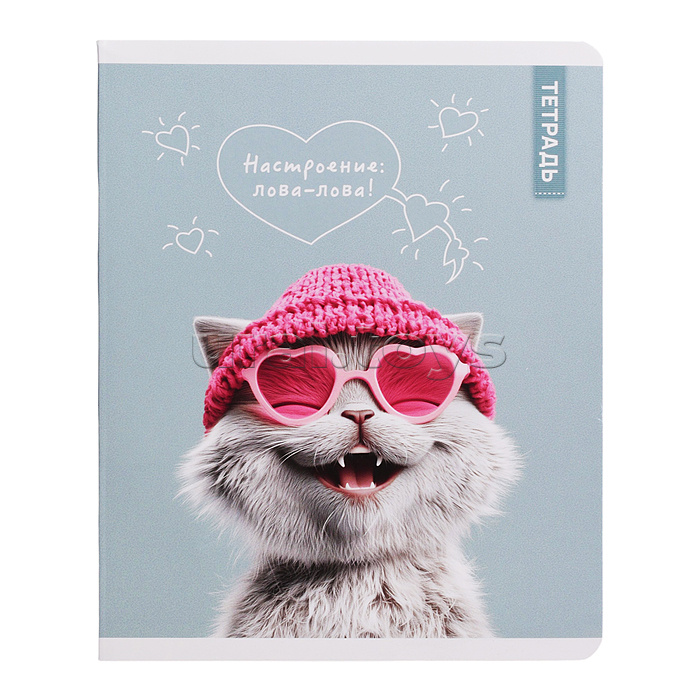 Тетрадь 48 л, клетка "Коты в школе" А5+, мягкий переплёт (2 скобы)