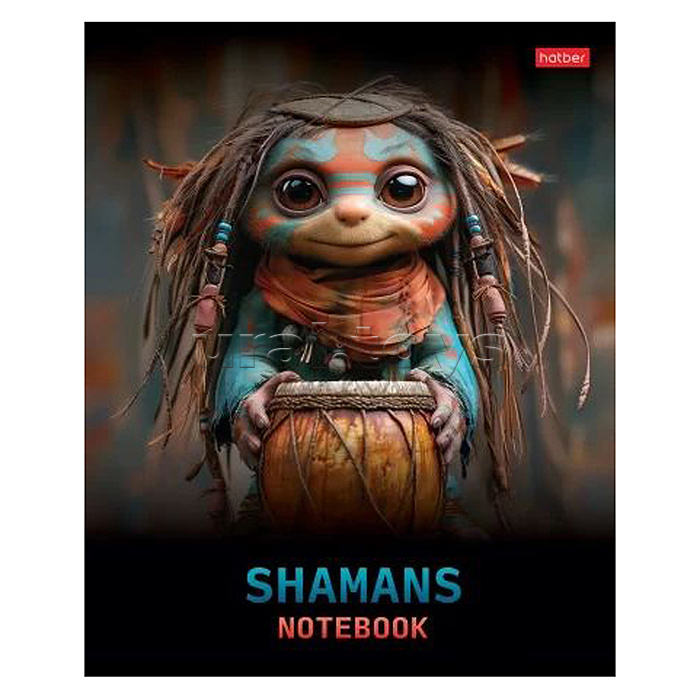 Тетрадь 48л. клетка "Шаманы" 5 диз.