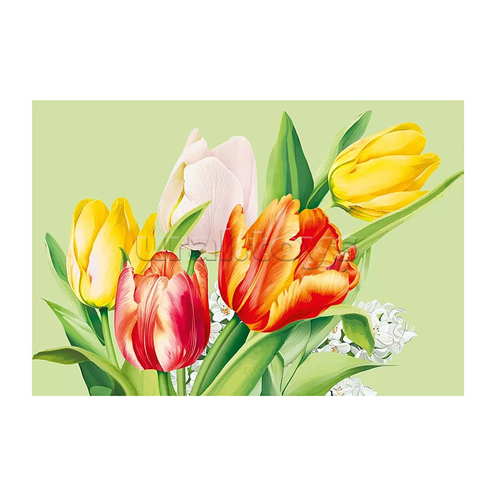 Конверт художественный средний "Тюльпаны"