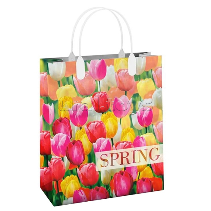 Пакет подарочный 23х27, 150мкм из мягкого пластика "Пора тюльпанов" ламинированный