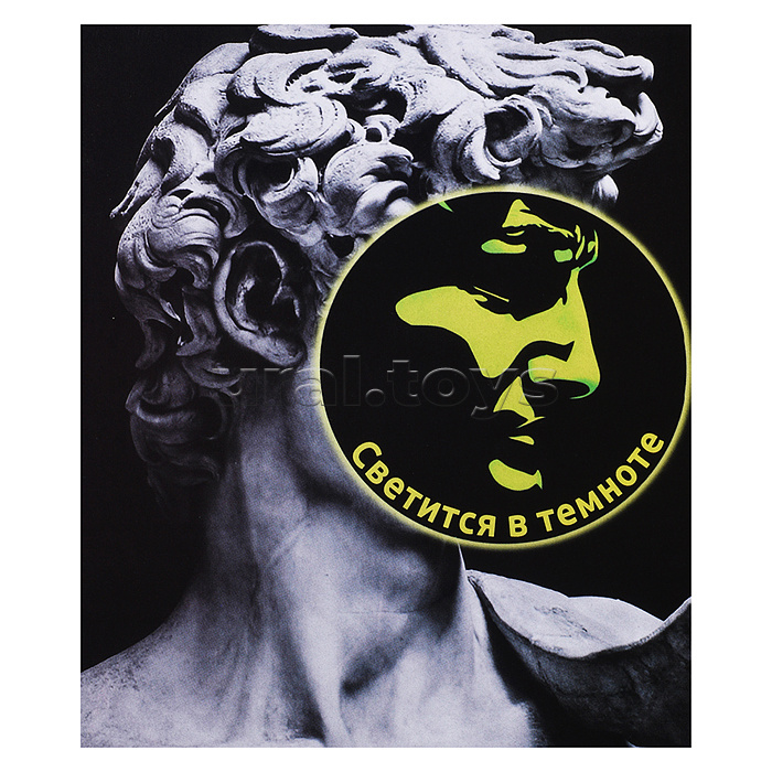 Картина по номерам 40х50 "Давид. Микеланджело" со светящейся краской (9 цветов)