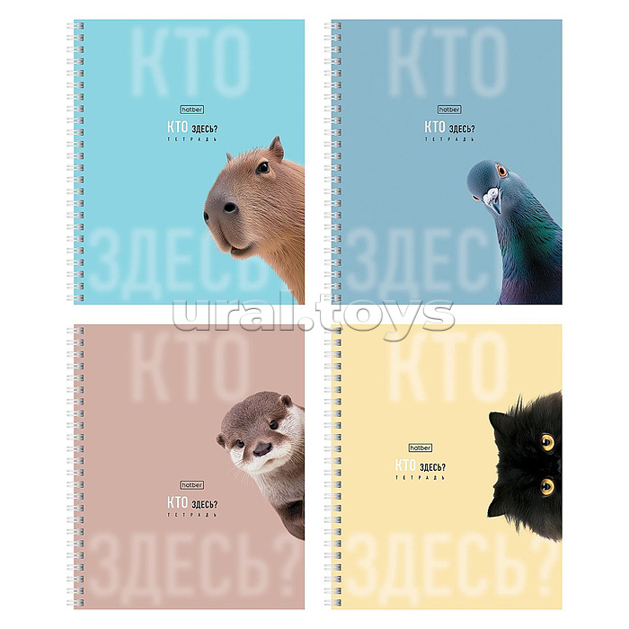 Тетрадь 48л. клетка "Кто здесь?" А5ф 60-65г/кв.м на гребне ламинация перфорация на отрыв 4 диз.