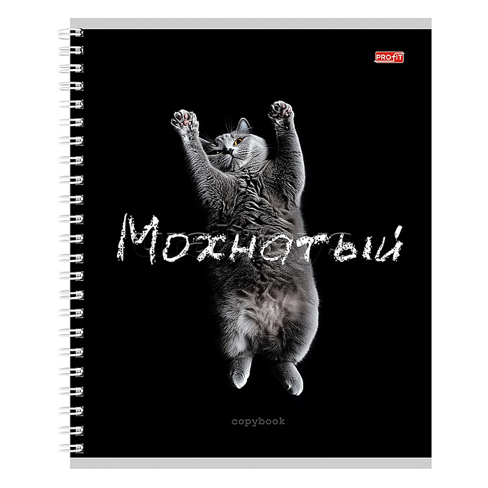 Тетрадь 48л. клетка "Забавные коты - 2" гребень, цвет. мелов. обл.