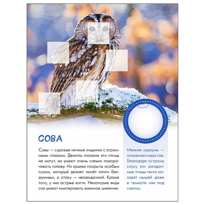 Мир животных с наклейками. Кто живёт в лесу?