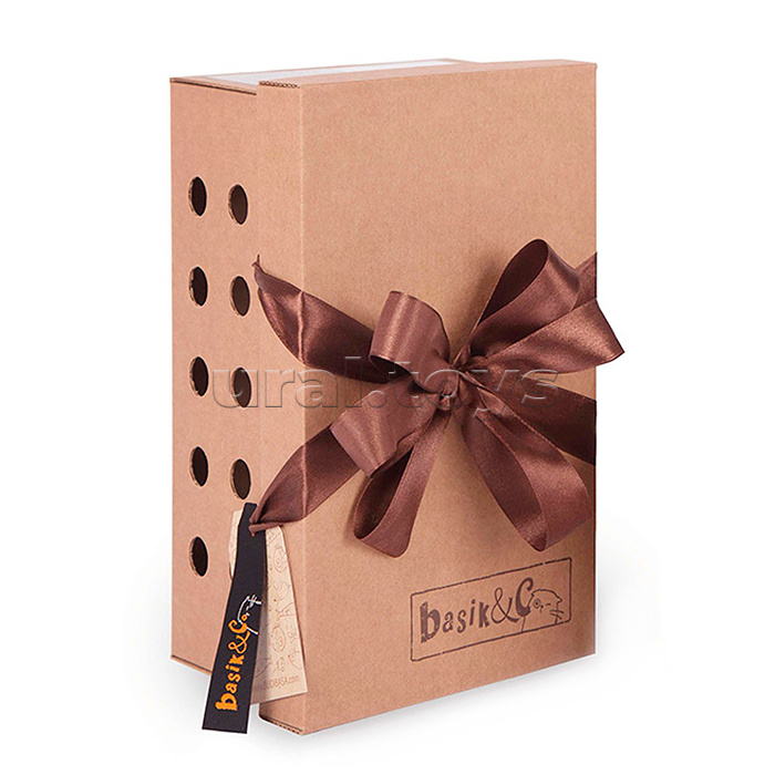 Кот Басик в зимней пижаме