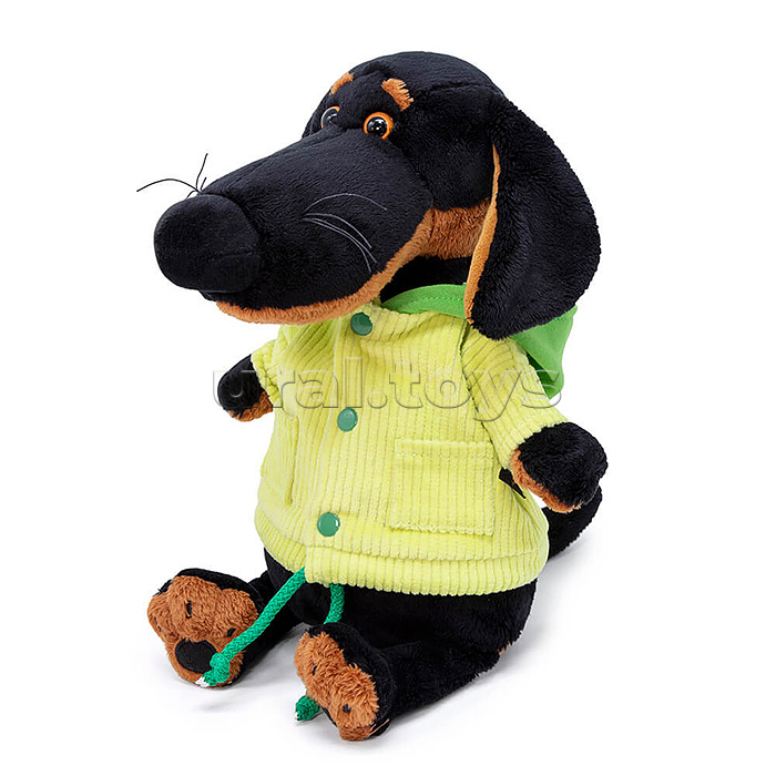 Собака Ваксон в вельветовой куртке