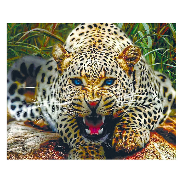 Алмазная мозаика 40х50 "Хищный взгляд" с нанесенной рамкой (35 цветов)