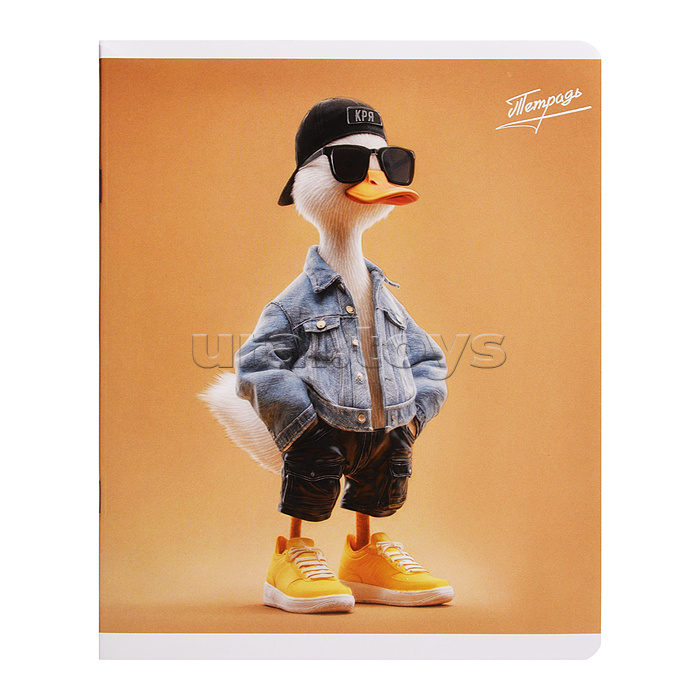 Тетрадь 48 л, клетка "Зумеры" А5+, мягкий переплёт (2 скобы)