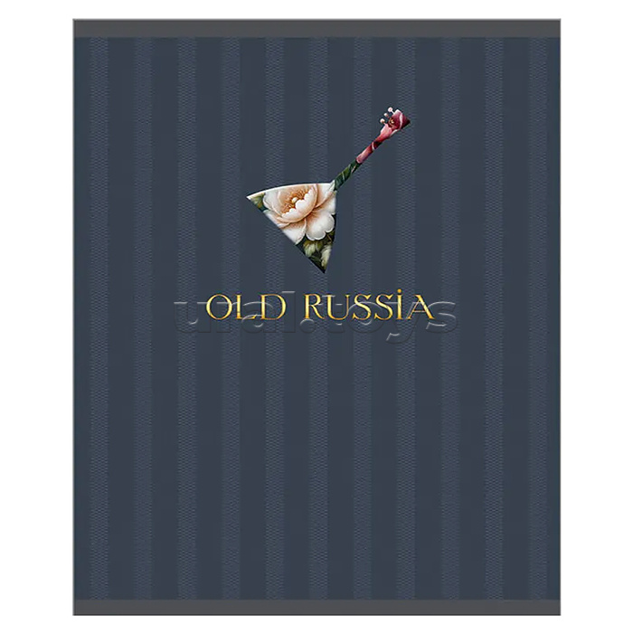 Тетрадь 48л. клетка "Old Russia" А5 скрепка