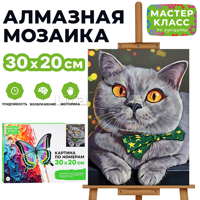 Картина по номерам "Любопытство" 30х20 см.