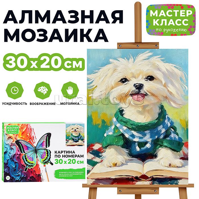 Картина по номерам "Читатель" 30х20 см.