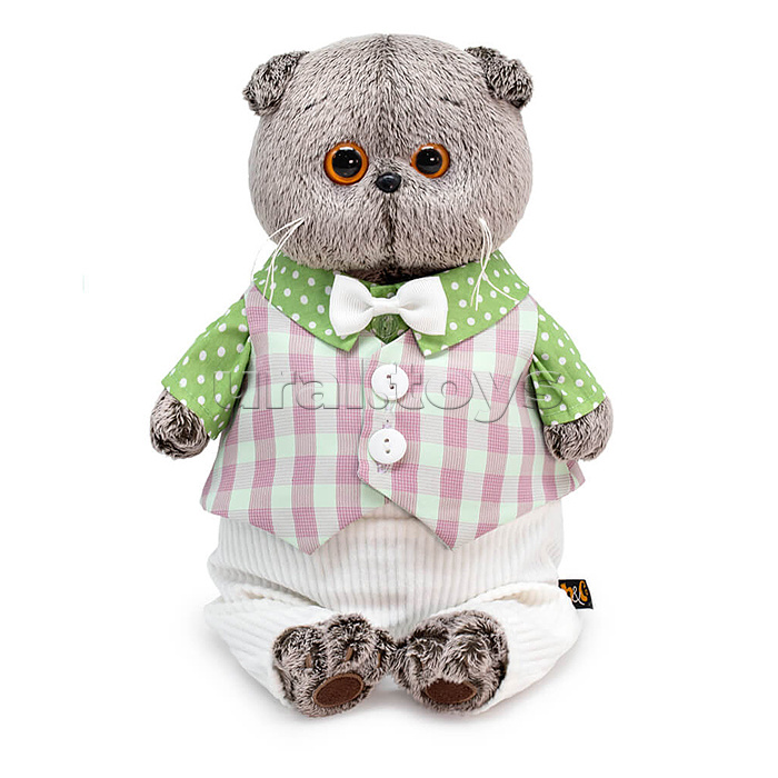 Кот Басик в легком костюме