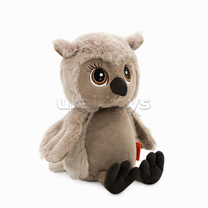 Сова Life Соня 20