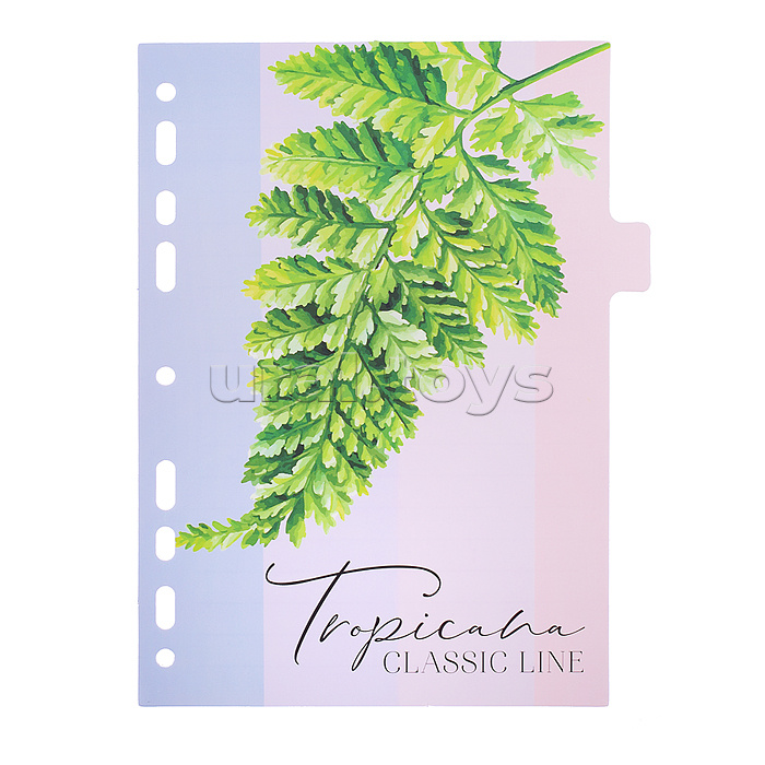 Разделитель листов "Tropicana" A5 (160x210 мм) ламинированный мелованный картон 210 г/м2, с рисунком, 8 шт, индивидуальная упаковка