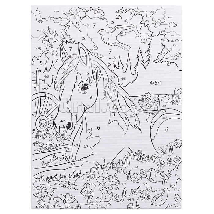 Раскраска по номерам 17х23 см "Лошадка в поле"