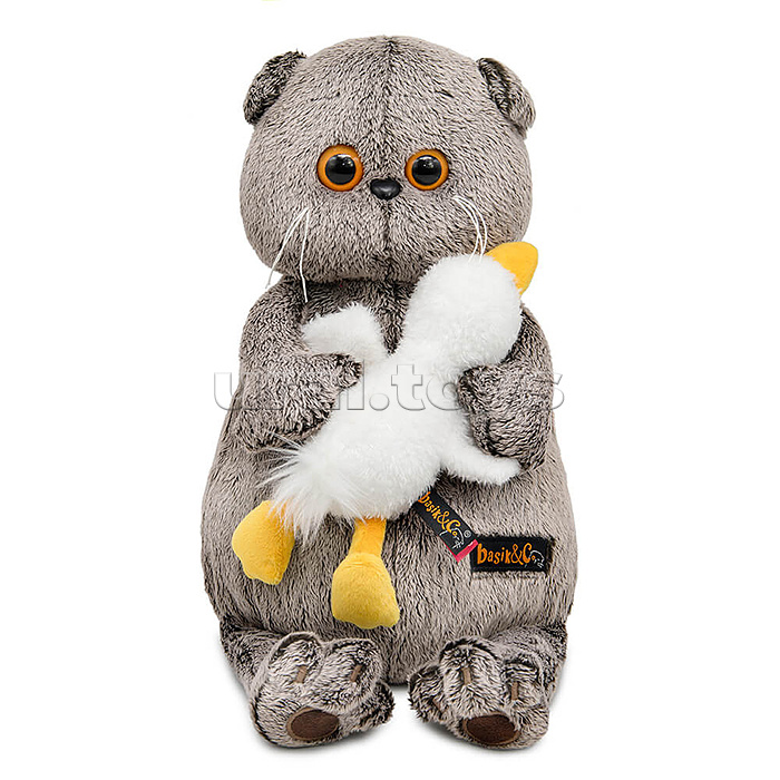 Кот Басик со спящим Гусиком
