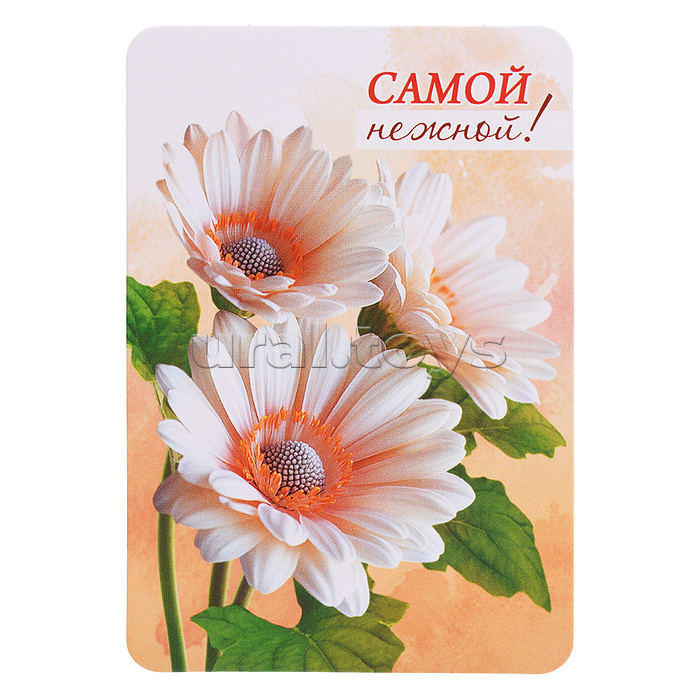 Набор мини-открыток "Акварельные цветы"