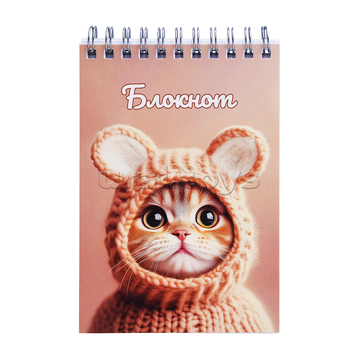 Блокнот А6 80л. "Котенок в шапочке" клетка