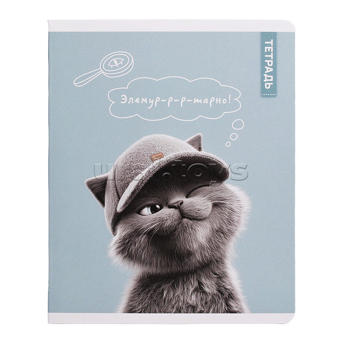 Тетрадь 48 л, клетка "Коты в школе" А5+, мягкий переплёт (2 скобы)