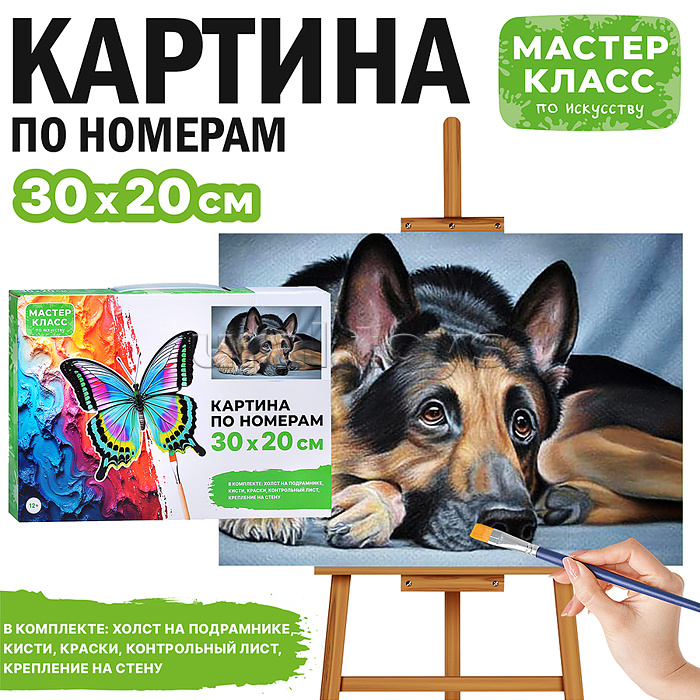 Набор для рисования "Картина по номерам 20*30 см. Задумчивая овчарка"