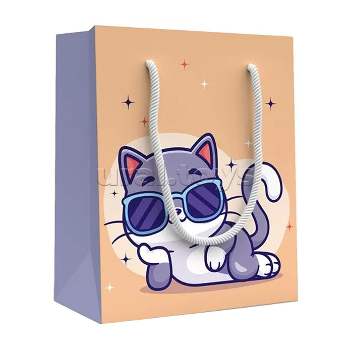 Пакет подарочный (S) "Кот в очках"
