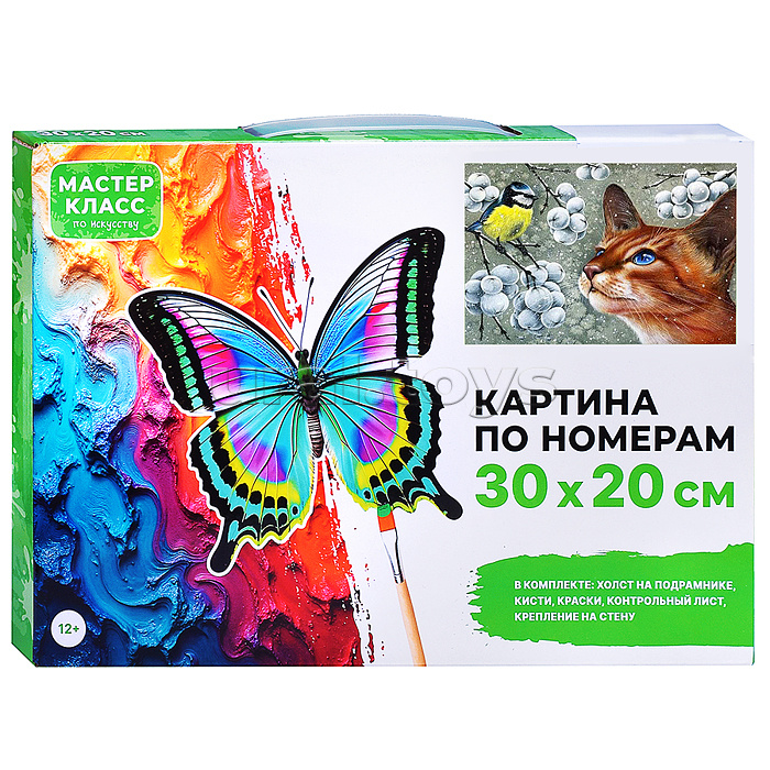 Набор для рисования "Картина по номерам 30х20 см. Увлечение"