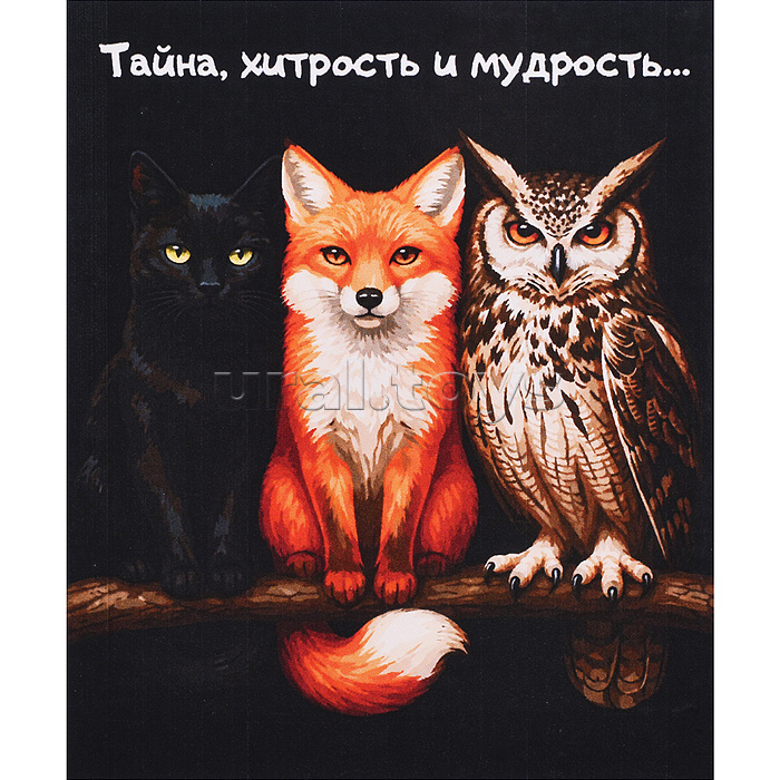 Картина по номерам 30х40 "Тайна, хитрость и мудрость" (22 цвета)