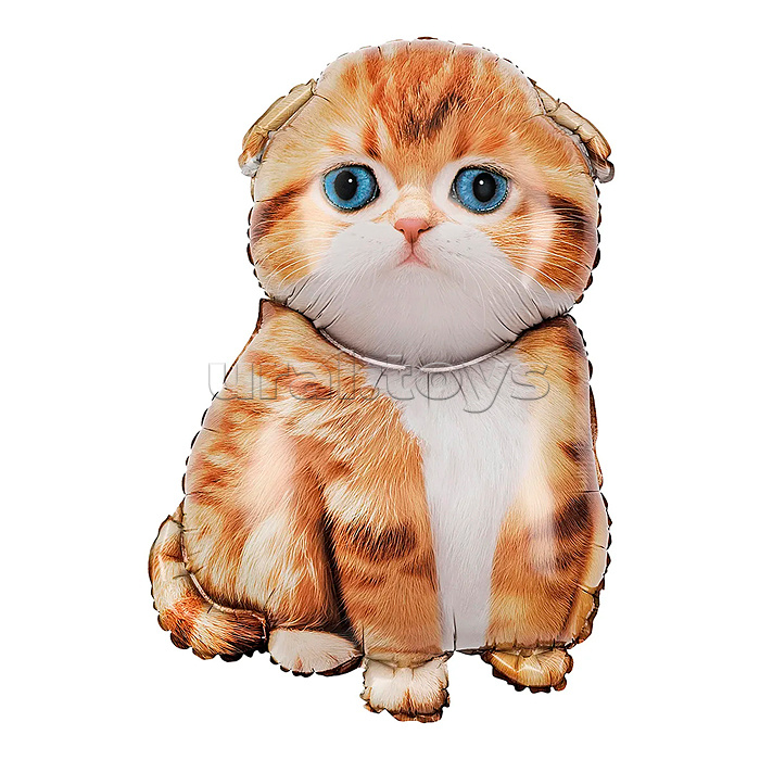 Шар (34''/86 см) Фигура, Рыжий котенок, 1 шт. в уп.