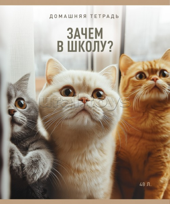 Тетрадь 48л. клетка А5 скрепка S "В смысле?" Премиум 4+0+Ламинация матовая+УФ выб