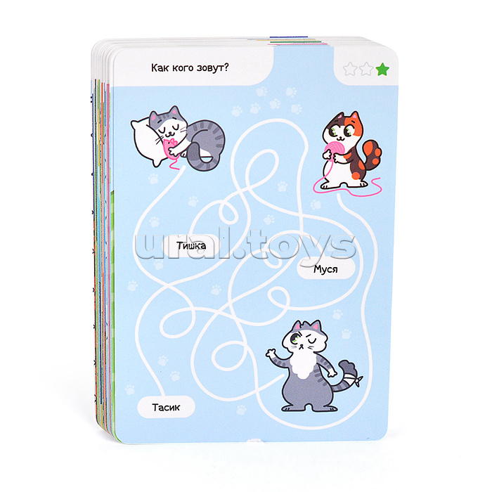 IQ Box. КОТО-лабиринты