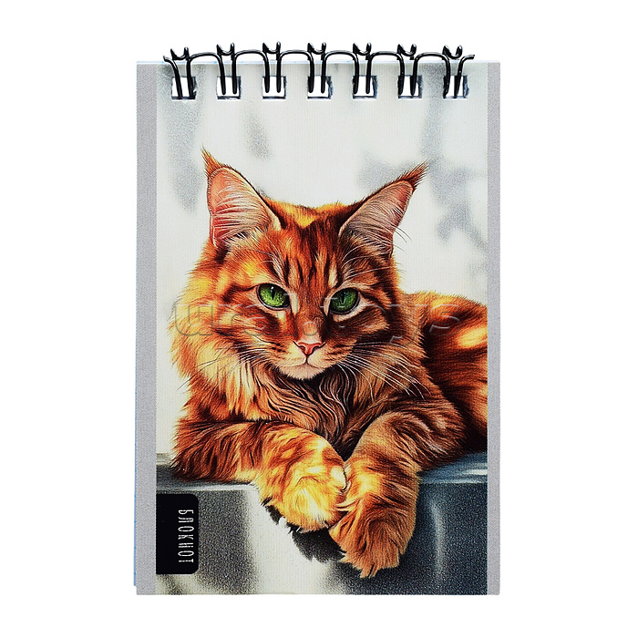 Блокнот А7 40л. "Нарисованные котики" на гребне, обл.-мел.кар, бл-офс, в клетку