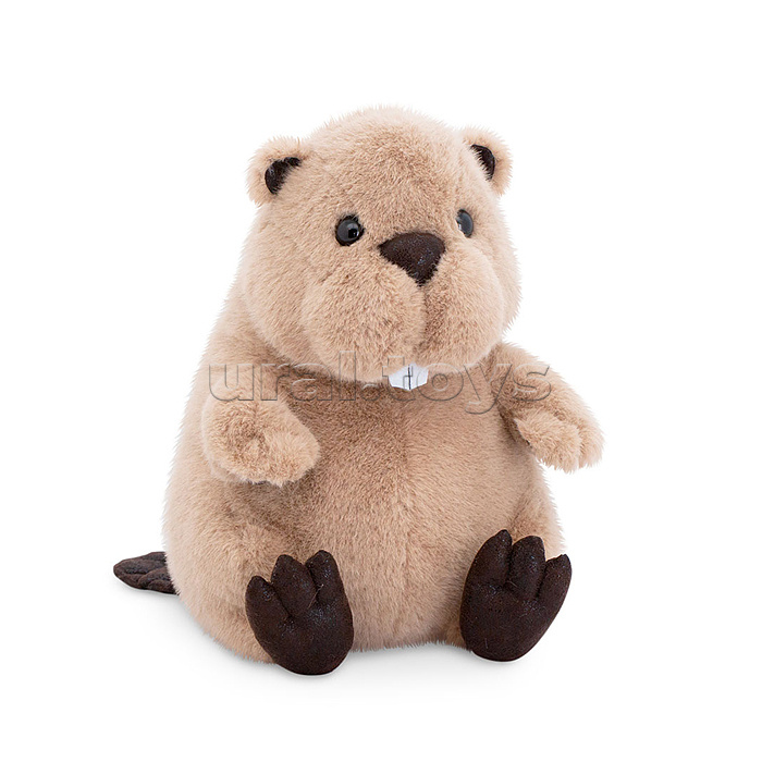 Бобёр Бобрик 22