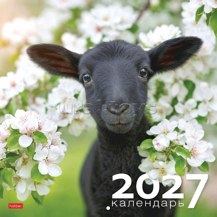 Календарь настенный перекидной 30х30см Эконом, на 2027г бум. Мелованная на скобе "Знак Года"
