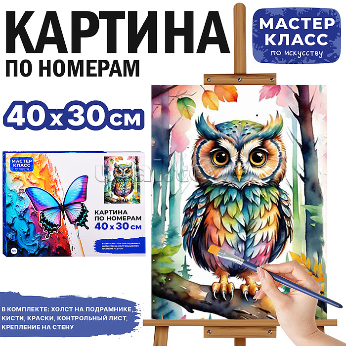 Набор для рисования "Картина по номерам 30х40 см. Цветная совушка" Набор для рисования "Картина по номерам 30х40 см. Цветная совушка"