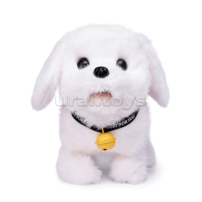 Собака "Ричи" (бегает, записывает, лает, виляет хвостом, открывает пасть) в пакете