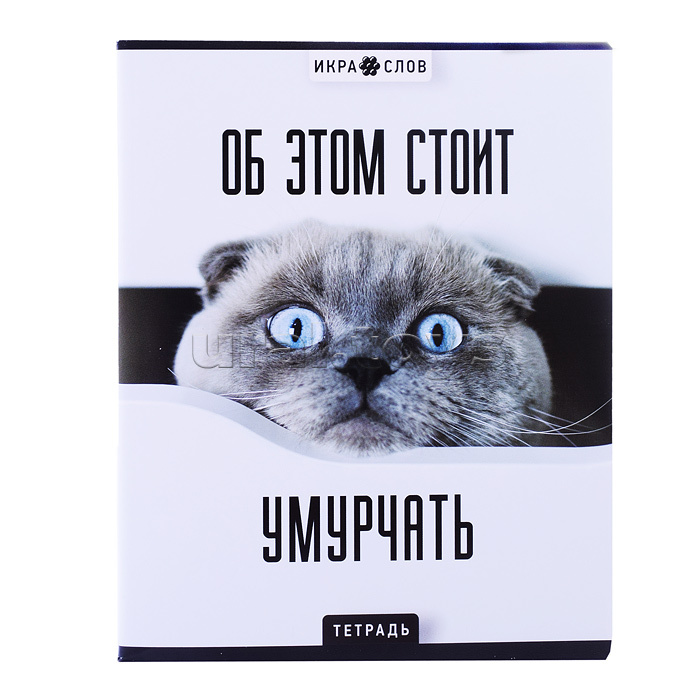 Тетрадь 96л. клетка А5 S "Икра слов - 2" скрепка, стандарт 4+0+Твин лак (30, 5 (микс) )