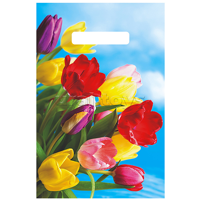 Пакет с вырубной неусиленной ручкой 20х30см (30) (Монро)