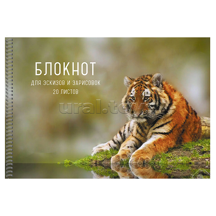 Блокнот 20л. для эскизов и зарисовок "Тигр" гребень