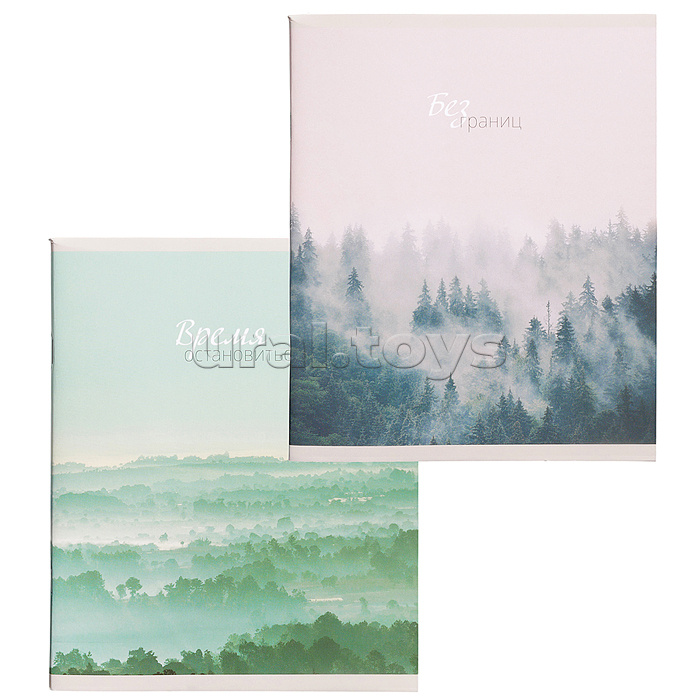 Тетрадь 96л. клетка "Бесконечность горизонтов" А5 скрепка